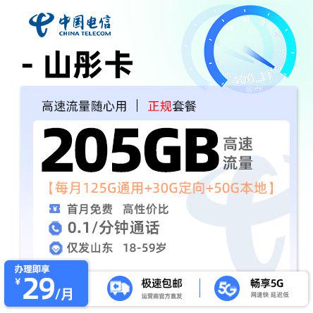 电信山彤卡29元享205G流量【山东专属】